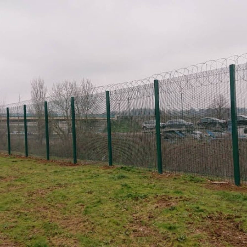 139959229_238347011068210_8436088960018711080_n