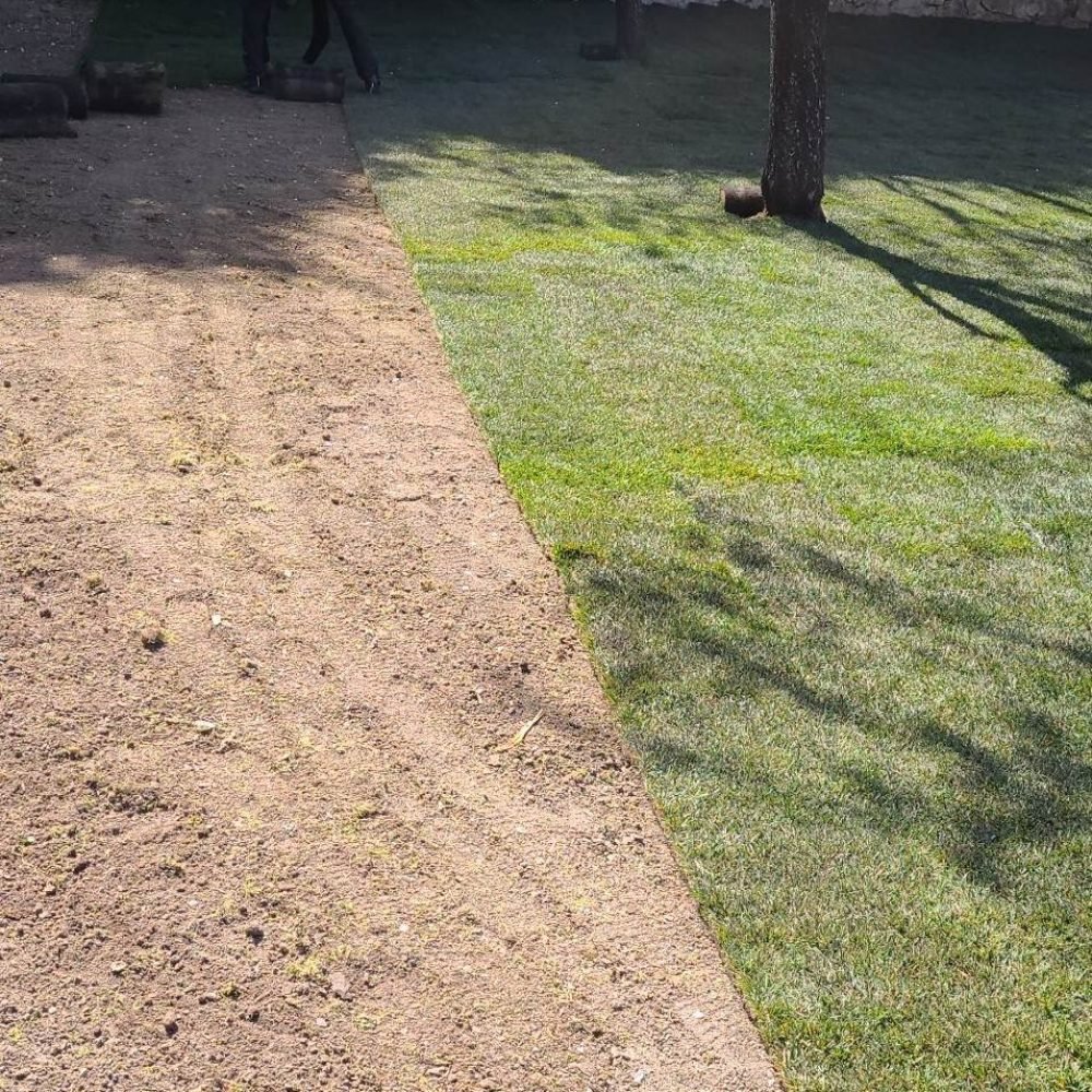 337777660_194091716707289_3521292766095559524_n