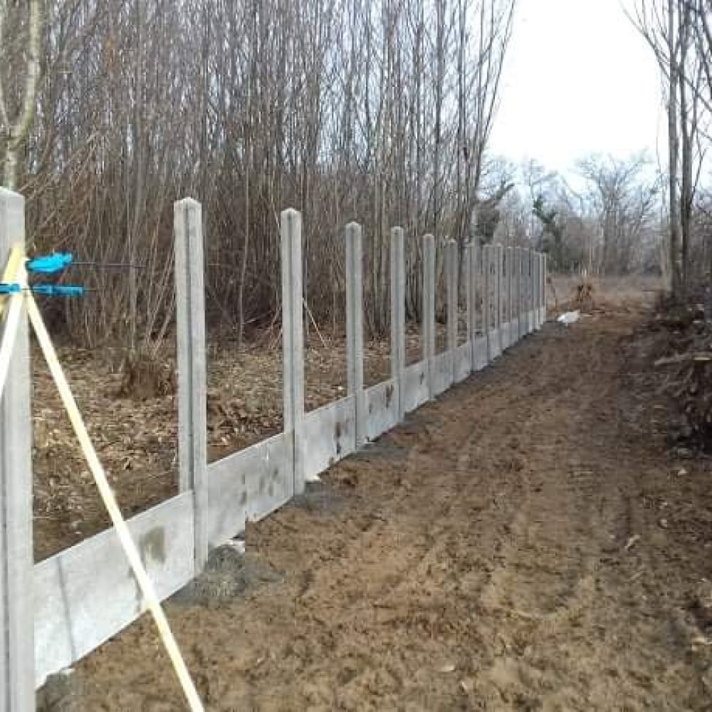 received_465862274303095