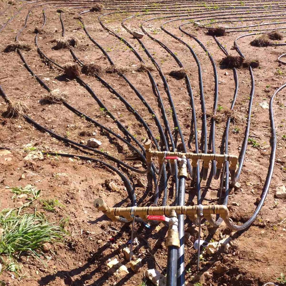 viber_image_2022-07-01_16-48-30-209